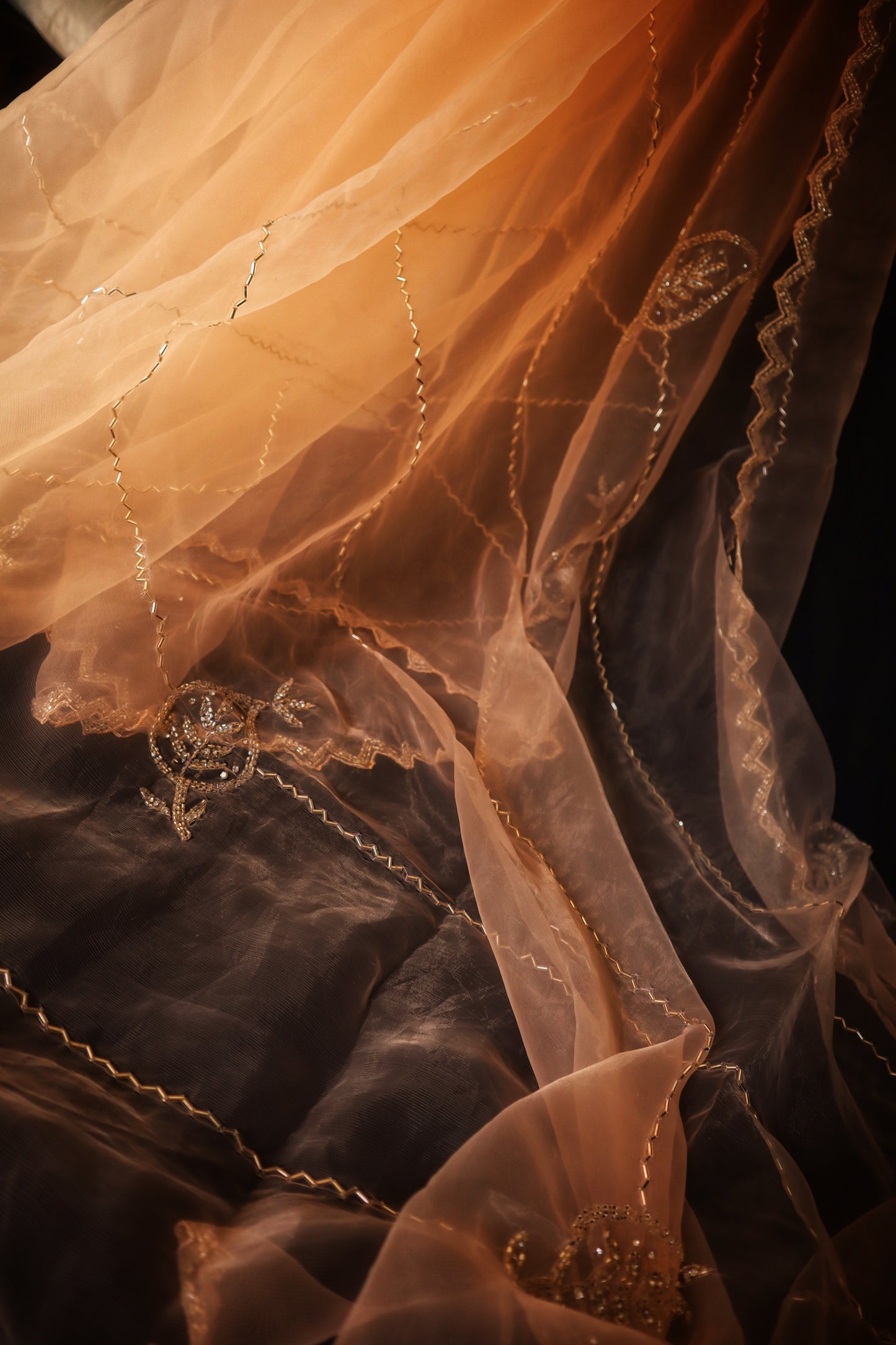 Champagne Chaarisma – Nude Gold Organza Saree