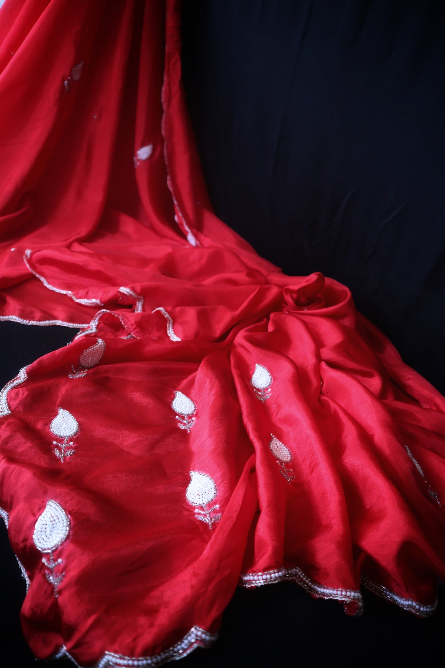 Laal Pari - Red Organza Saree with White Embroidery