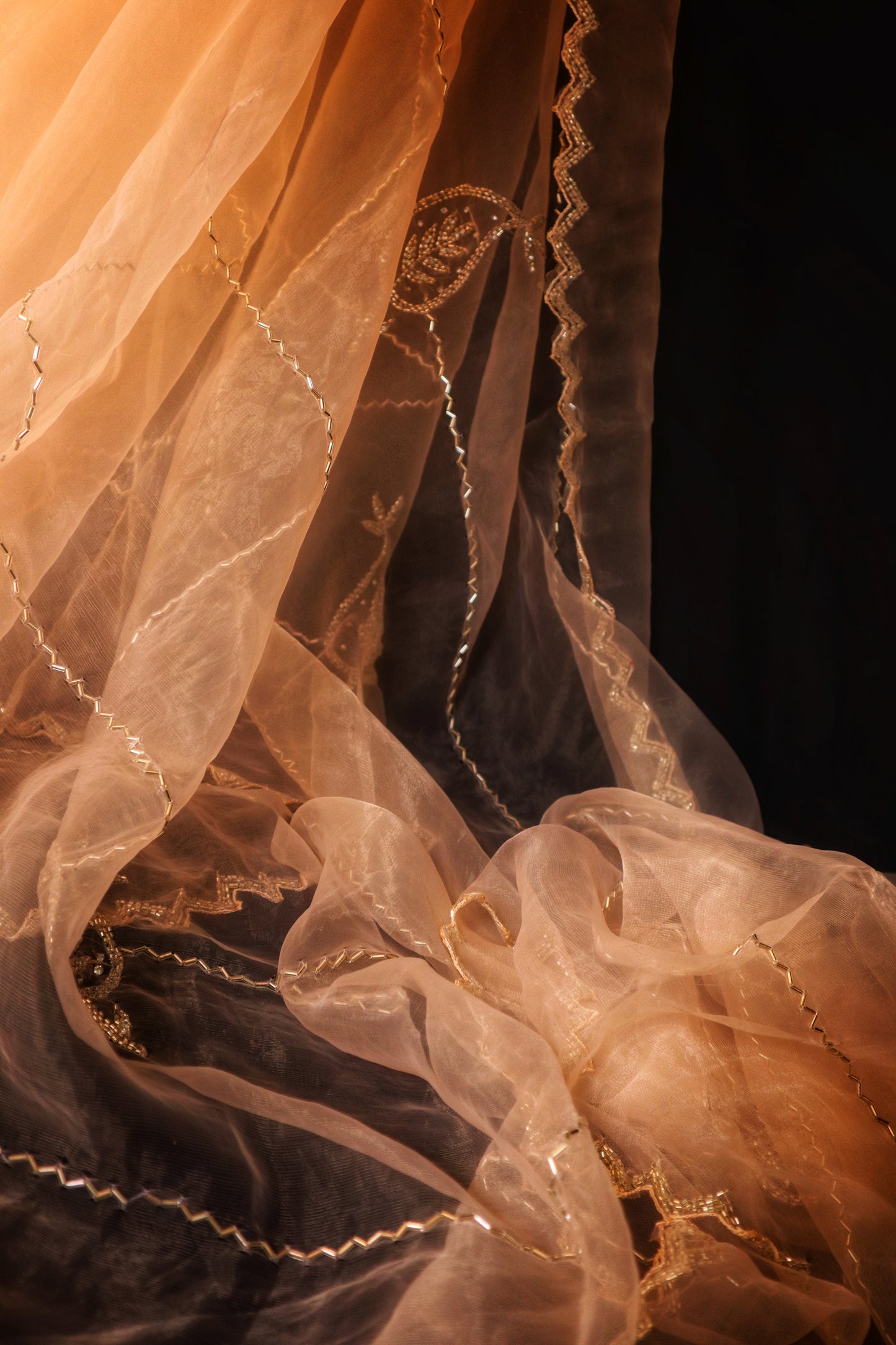 Champagne Chaarisma – Nude Gold Organza Saree