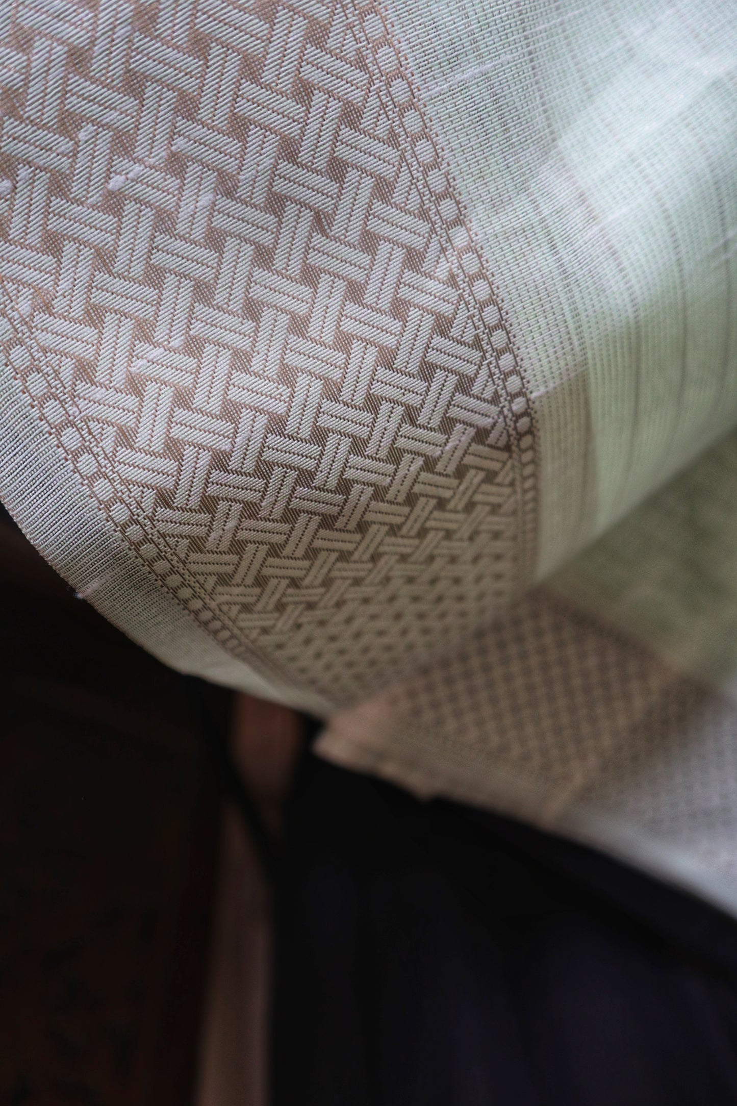 Noor-E-Zeba – Mint Tissue Saree with Rose Gold Embroidery
