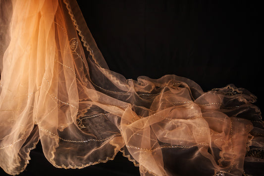 Champagne Chaarisma – Nude Gold Organza Saree