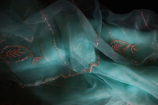 Mint Meher – Aqua Organza Saree with Silver Threadwork