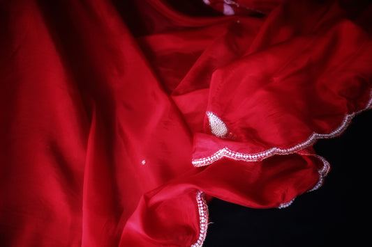 Laal Pari - Red Organza Saree with White Embroidery