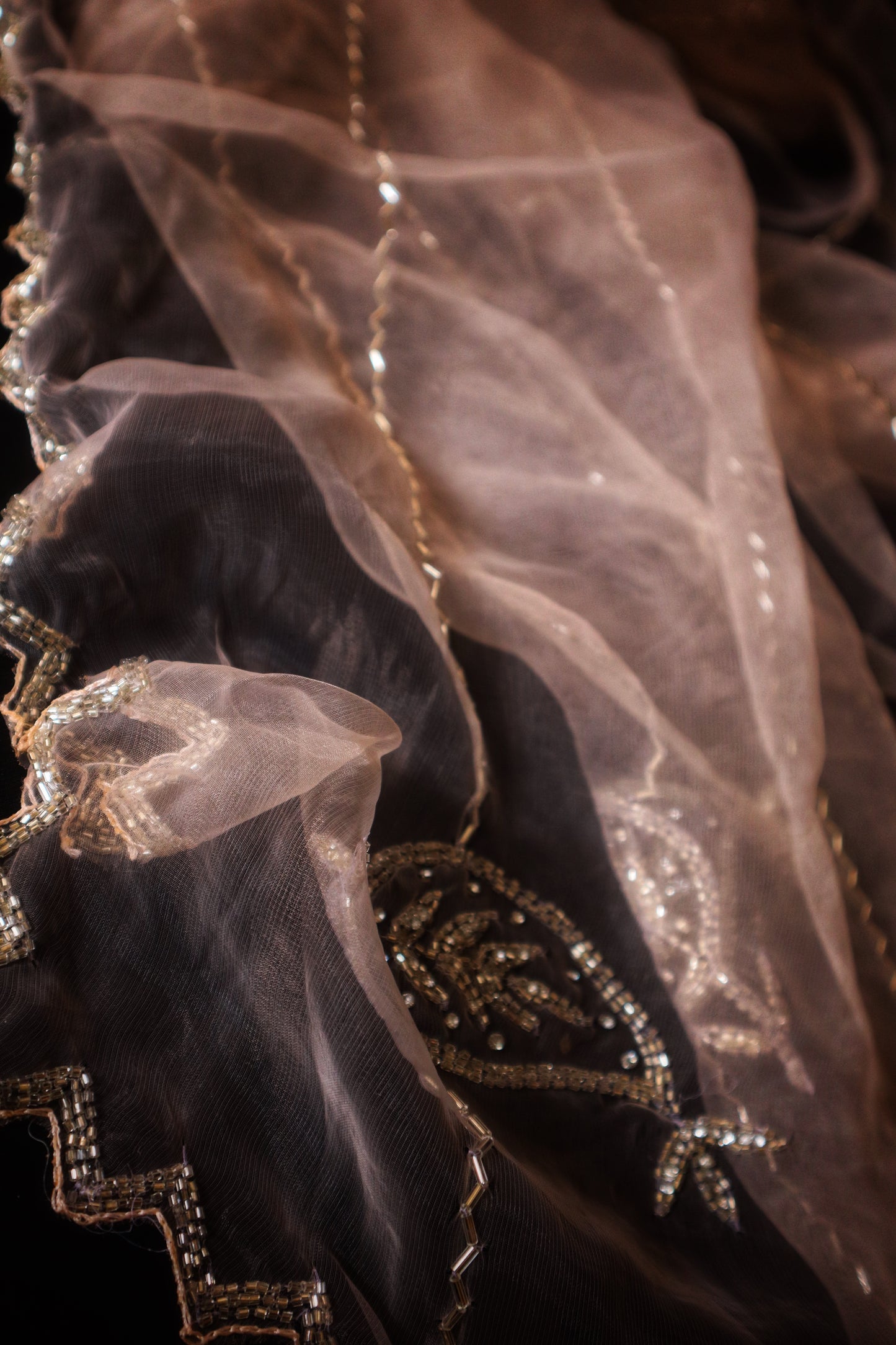 Champagne Chaarisma – Nude Gold Organza Saree