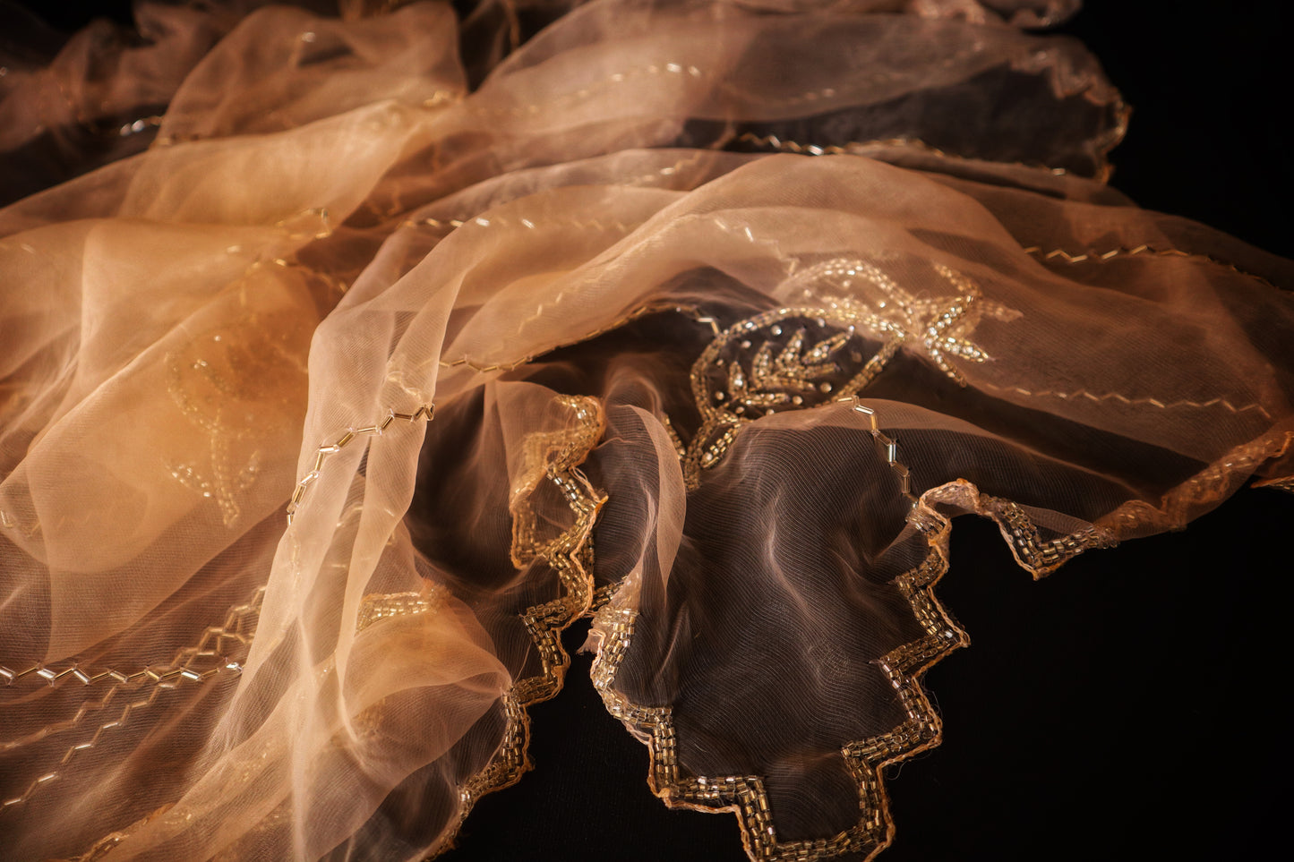 Champagne Chaarisma – Nude Gold Organza Saree